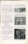 Country Life Saturday 31 December 1898 Page 31