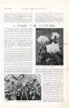 Country Life Saturday 07 January 1899 Page 21