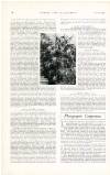 Country Life Saturday 21 January 1899 Page 42