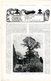 Country Life Saturday 11 February 1899 Page 24