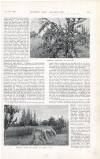 Country Life Saturday 18 February 1899 Page 21