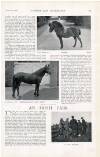 Country Life Saturday 11 March 1899 Page 33