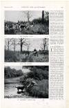 Country Life Saturday 11 March 1899 Page 37