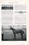 Country Life Saturday 11 March 1899 Page 45
