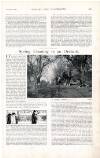 Country Life Saturday 08 April 1899 Page 19