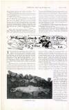 Country Life Saturday 08 April 1899 Page 48