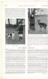 Country Life Saturday 29 April 1899 Page 20