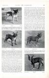 Country Life Saturday 29 April 1899 Page 27