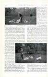 Country Life Saturday 20 May 1899 Page 34