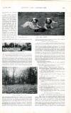 Country Life Saturday 20 May 1899 Page 35