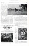Country Life Saturday 17 June 1899 Page 31