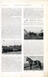 Country Life Saturday 01 July 1899 Page 41