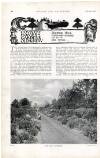 Country Life Saturday 15 July 1899 Page 28