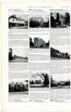 Country Life Saturday 05 August 1899 Page 4