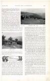 Country Life Saturday 19 August 1899 Page 41