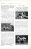 Country Life Saturday 09 September 1899 Page 25