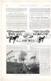Country Life Saturday 16 September 1899 Page 20