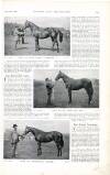 Country Life Saturday 16 September 1899 Page 39