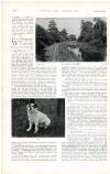 Country Life Saturday 23 September 1899 Page 42
