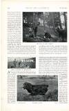 Country Life Saturday 28 October 1899 Page 38