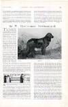 Country Life Saturday 11 November 1899 Page 41