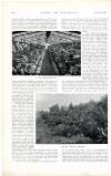 Country Life Saturday 25 November 1899 Page 20