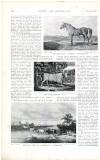 Country Life Saturday 25 November 1899 Page 24