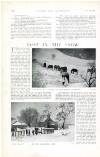 Country Life Saturday 02 December 1899 Page 48