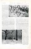 Country Life Saturday 02 December 1899 Page 49