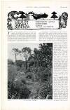 Country Life Saturday 09 December 1899 Page 30