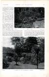 Country Life Saturday 09 December 1899 Page 33