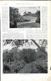 Country Life Saturday 06 January 1900 Page 31
