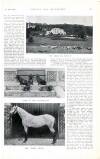 Country Life Saturday 13 January 1900 Page 41