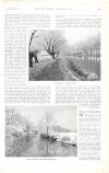 Country Life Saturday 20 January 1900 Page 37