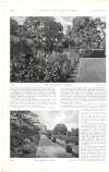 Country Life Saturday 03 February 1900 Page 30