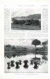 Country Life Saturday 17 February 1900 Page 40