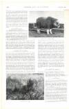 Country Life Saturday 24 February 1900 Page 44