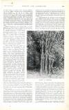 Country Life Saturday 17 March 1900 Page 35
