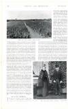 Country Life Saturday 17 March 1900 Page 42