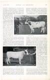 Country Life Saturday 21 April 1900 Page 41