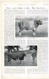 Country Life Saturday 05 May 1900 Page 24