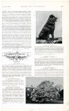 Country Life Saturday 12 May 1900 Page 47