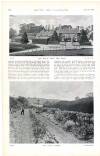 Country Life Saturday 16 June 1900 Page 36
