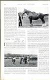 Country Life Saturday 28 July 1900 Page 24