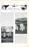 Country Life Saturday 28 July 1900 Page 43