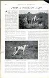 Country Life Saturday 25 August 1900 Page 20