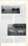 Country Life Saturday 15 September 1900 Page 27