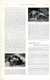Country Life Saturday 13 October 1900 Page 60