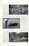 Country Life Saturday 24 November 1900 Page 28