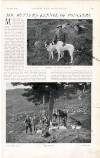 Country Life Saturday 22 December 1900 Page 21